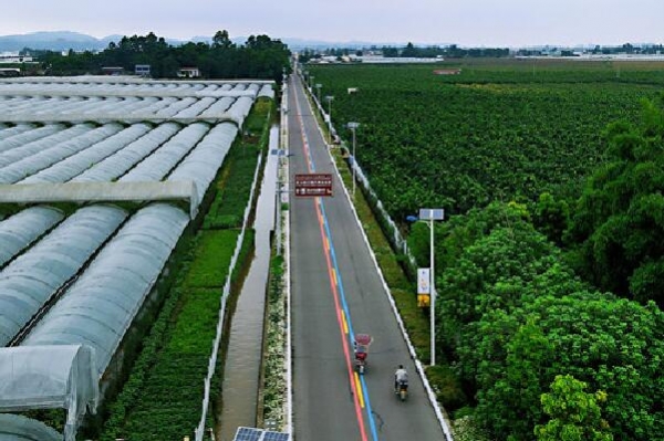 眉山市彭山區(qū) 太陽(yáng)能路燈 照亮村民幸福路